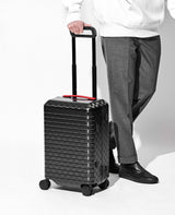 ダミエ カーボンファイバーラゲッジ —レザーハンドル