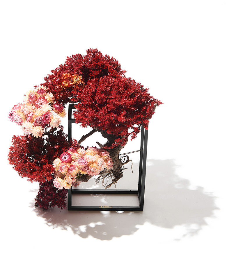 RE BONSAI – 買えるLEON