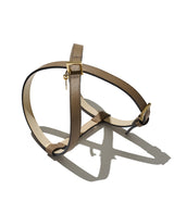 BONAVENTURA × FRIDA Firenze ペット ハーネス シュリンクレザー