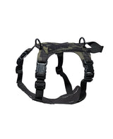 KL 2023モデル M1ハーネス