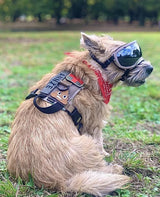 M1 Light Speed Harness