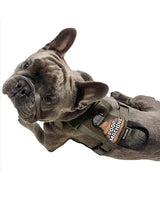 M1 Light Speed Harness