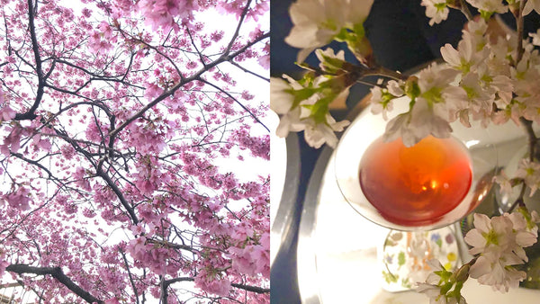 【4月8日】広島イベントは散りゆく桜を愛でながら