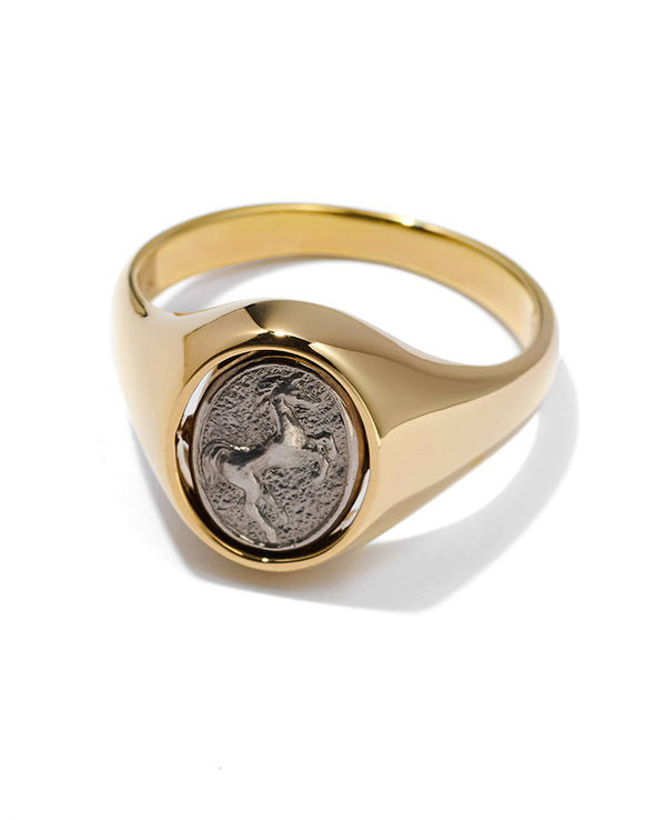 ストラクチャーリング – 買えるLEON