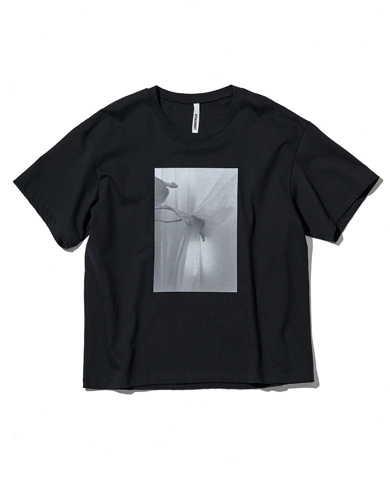 スヴィンジャージー プリント S/S TEE
