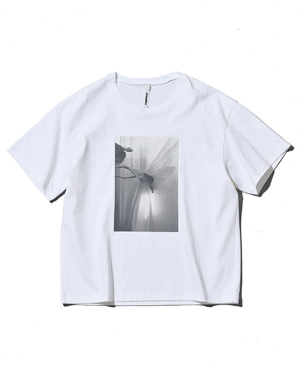 スヴィンジャージー プリント S/S TEE