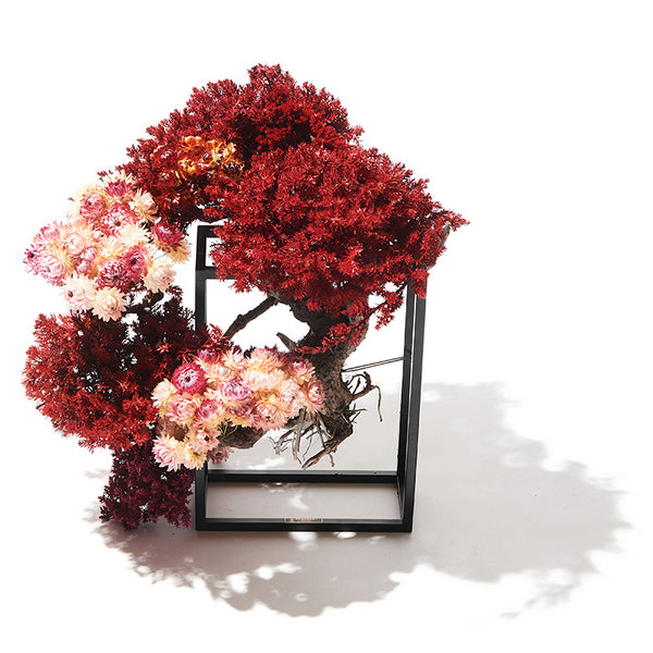 RE BONSAI – 買えるLEON