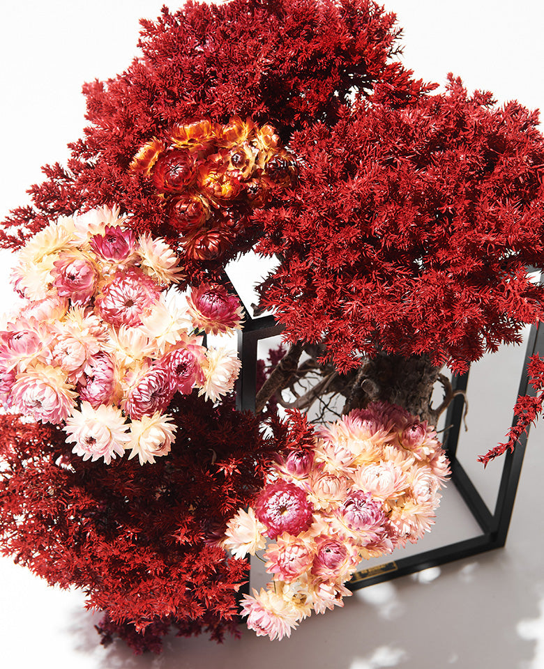 RE BONSAI