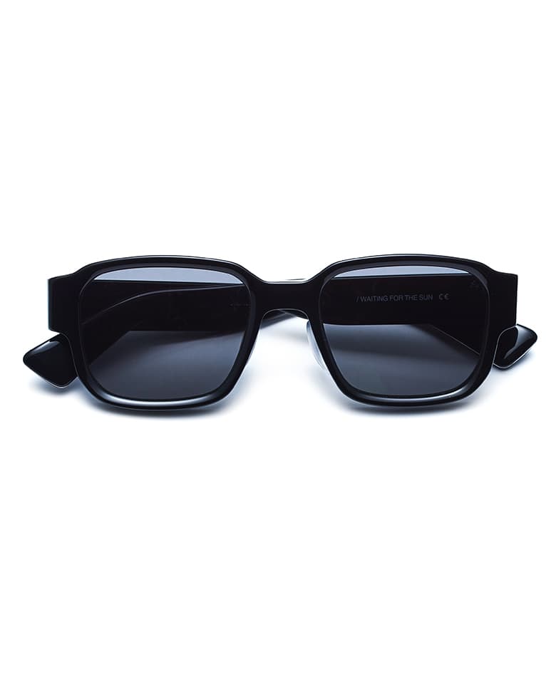 CED/E13(Black Pola Lens) (Asian Fit) Sunglasses
