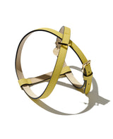 BONAVENTURA × FRIDA Firenze ペット ハーネス シュリンクレザー