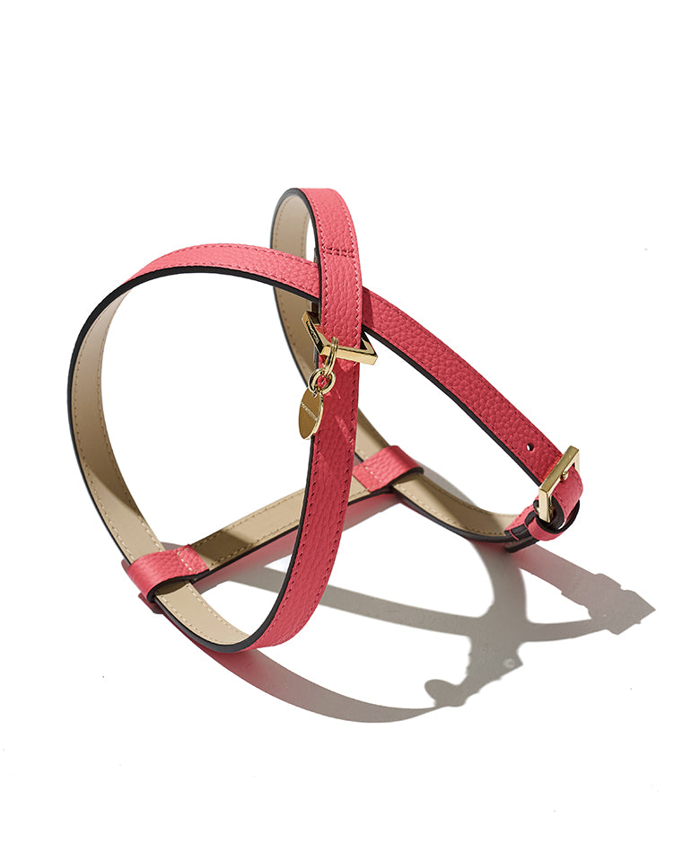 BONAVENTURA × FRIDA Firenze ペット ハーネス シュリンクレザー