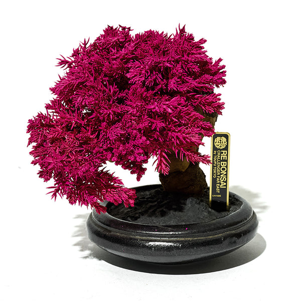 TOUFU 東京 盆栽 年末キャンペーン RE BONSAI™ by TOUFU TOKYO (@toufu