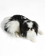 KL フライトジャケット