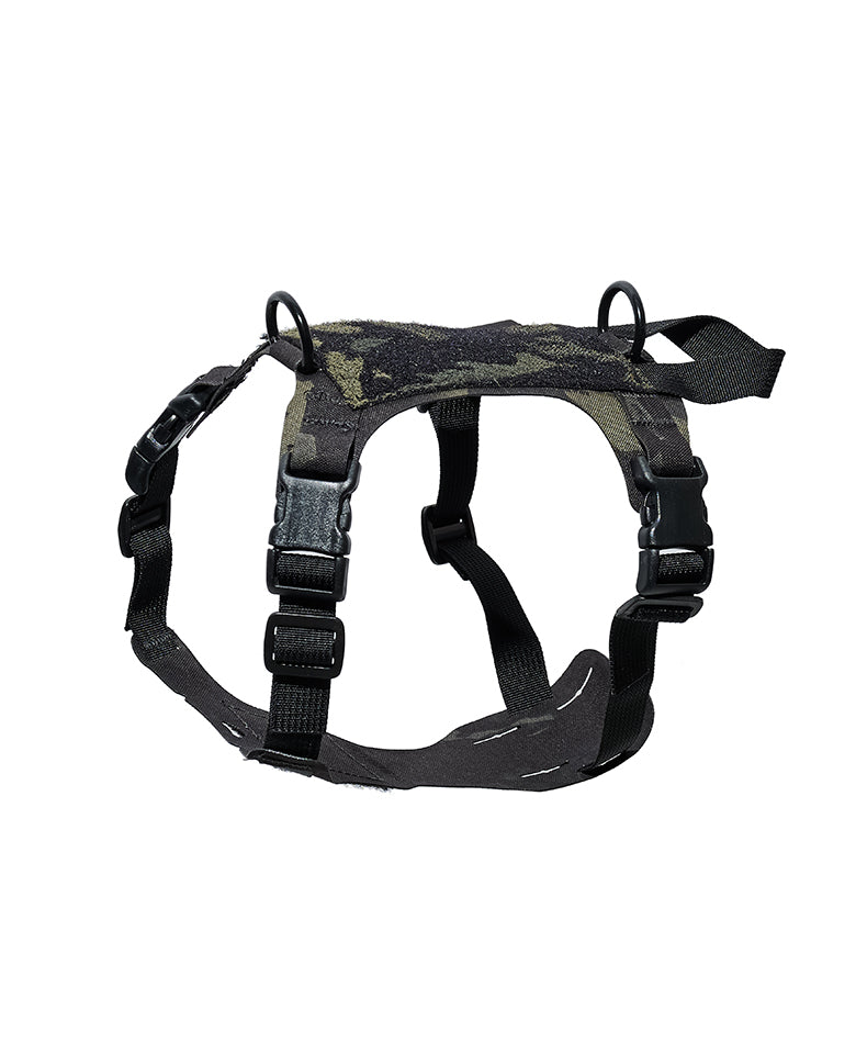 KL 2023モデル M1ハーネス