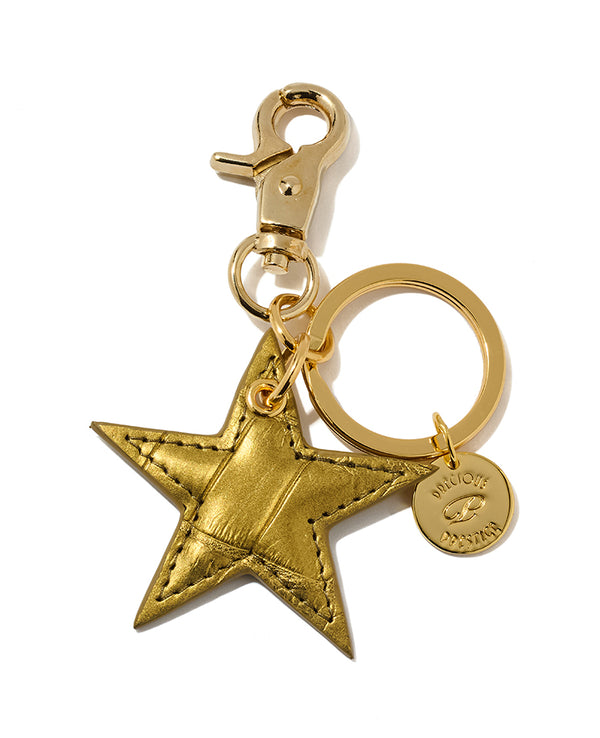 クロコダイル スターチャーム