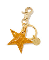 クロコダイル スターチャーム