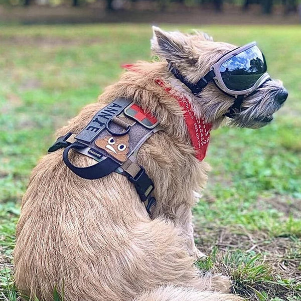 KILONINER M1 ハーネス M1_CoyoteTan_img_600x600_crop_