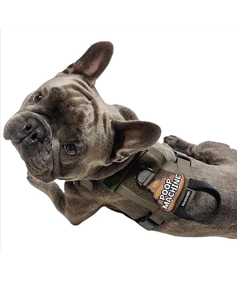 M1 Light Speed Harness