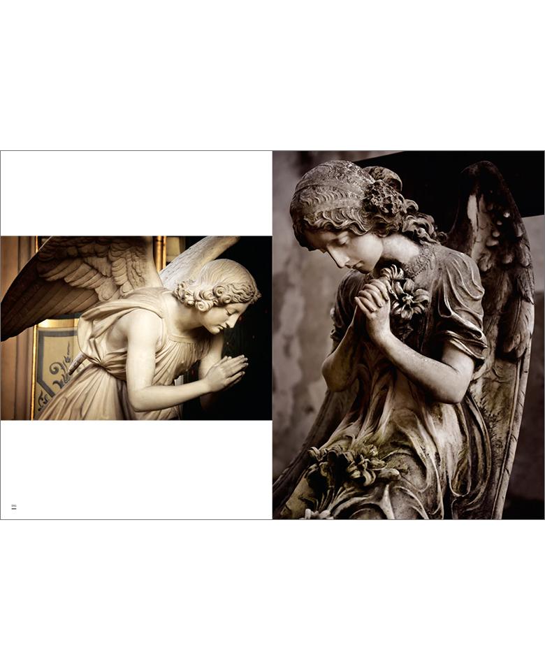 angel pictures